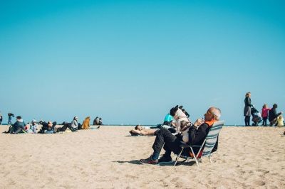 Beach-Dog-2