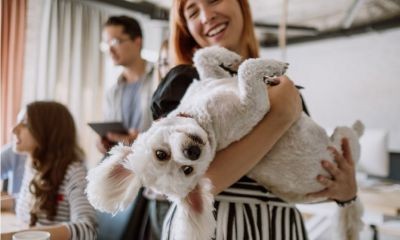 Bring-Your-Dog-to-Work-Day-21.6.19