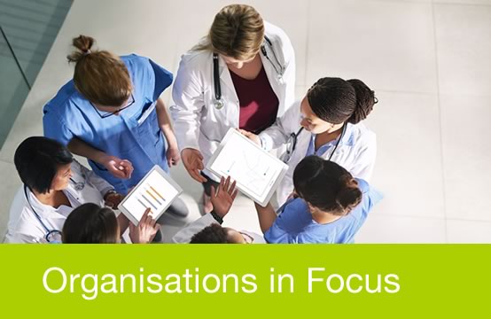 Organisations in focus